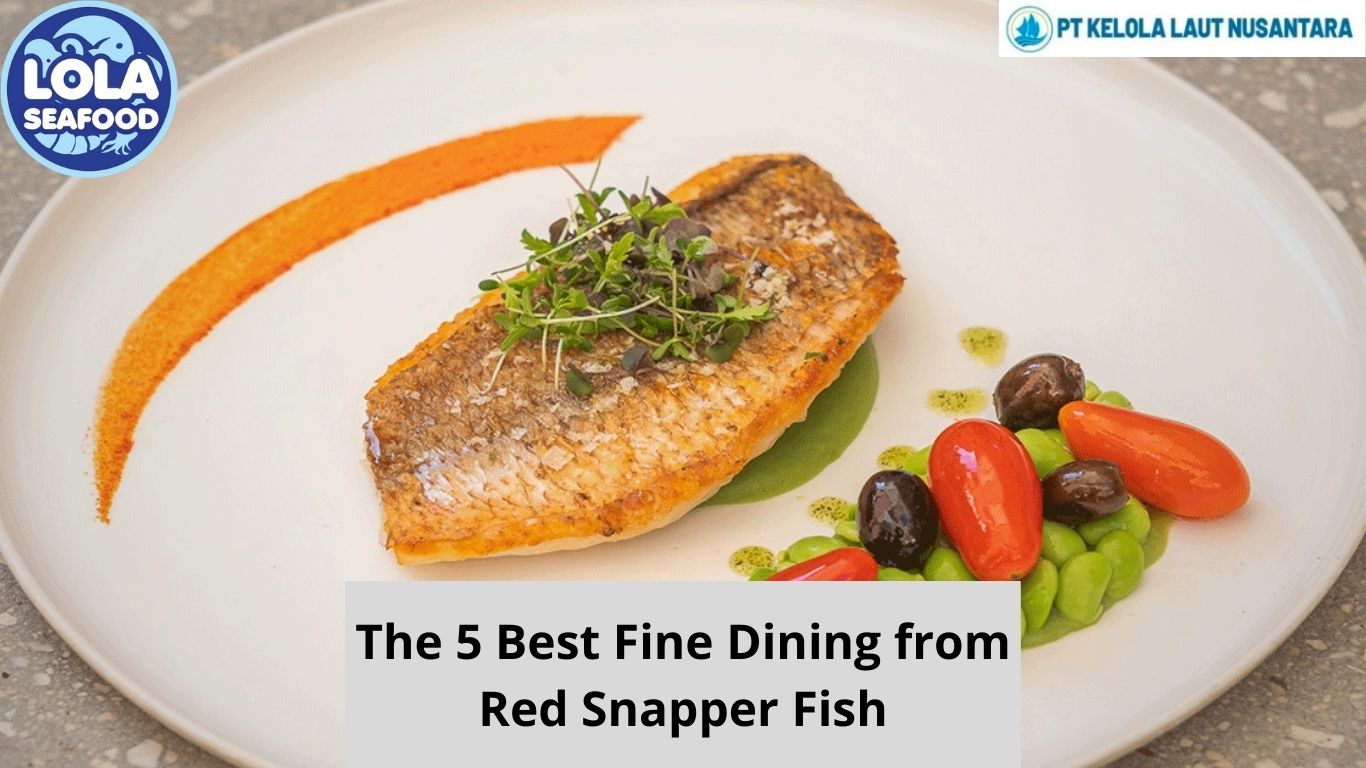 The 5 Best Fine Dining from Red Snapper Fish